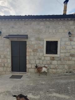 Masseria Marotta - 7