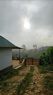 Bluehood WildScape - 2