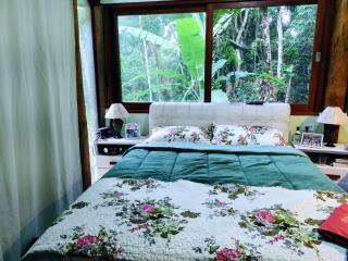 Floresta Encantada - 8