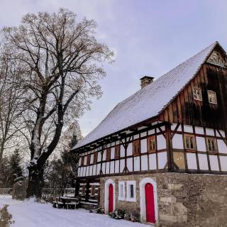 Chatka zimorodka - 7