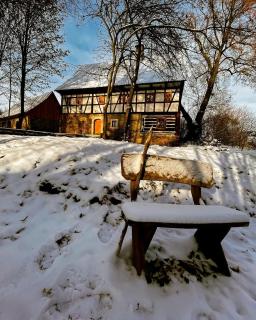 Chatka zimorodka - 4