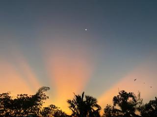 Villa Shakti - TIE - 3