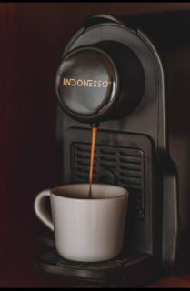 Cactus Village Penida - 3