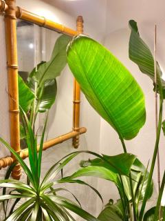 Sweet Jungle - Stylish, Cozy and Romantic - Colmar - 5