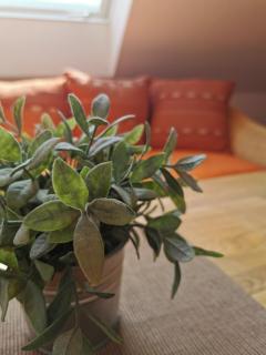 Ferienhaus Enger - 2