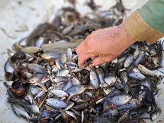 Hương Tràm Homestay - 9