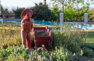 Bakenskraal Ostrich Palace - 7