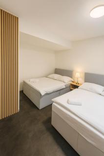 Ideal for Big Groups, Modern 14 Guest Apartment Near Prague - 5