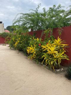 Auberge Andel Diabou SARR - Palmarin - 7