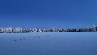 Lapland Log Retreat - 9