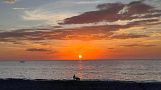 Buddy's Beach House Sipalay - 0