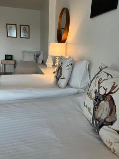 Arctic Deluxe - Rovaniemi - 4