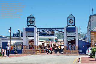 302 Seahorse - Premium 2 Bedroom Unit with Pool & Parking - 8