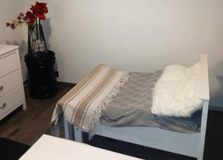 Wolf Street Snow Dream - 3