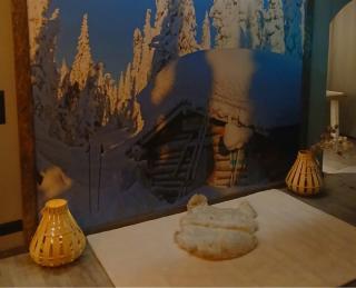 Wolf Street Snow Dream - 1