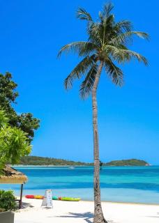 Bali-Style Private Pool Villa,3 Min Walk to Beach - 2