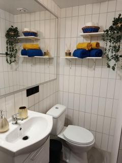 APARTY w Łomiankach - 2