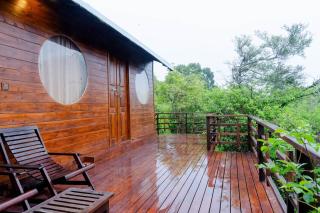 Leopard Nest in Yala - 9