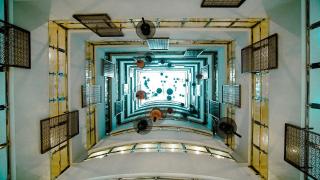 فندق ميزاب أوركيد جرول - 7