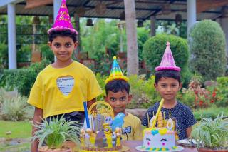 Hotel Chingari Pinnawala - 8