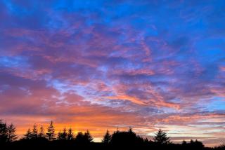 Shepherd's hut 2 at Braebost Croft - 3