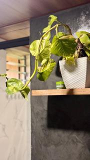 LoftVibes San Juan-Unit 1 - 5