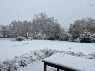 Chambre d'hôtes Lucia avec vue sur jardin arboré - 9