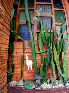 119 Boutique Natural Wellness Chiang Mai - 2