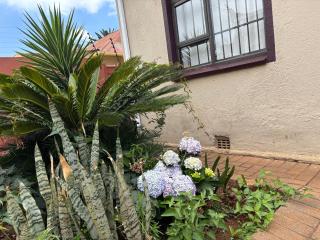 Joburg Triple Nest Retreat - 7