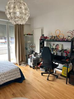 Apparent lux in Geneva - 9