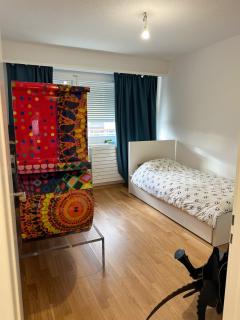 Apparent lux in Geneva - 7