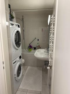 Apparent lux in Geneva - 6