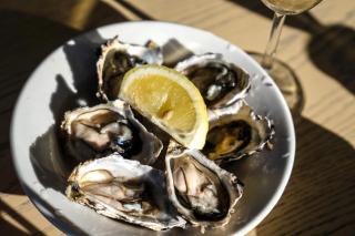 310 Seahorse - Premium 2 Bedroom Apt with Parking - 1