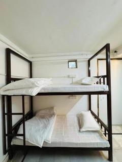 Hostel sakura Jaisalmer - 4