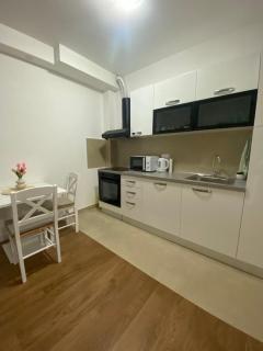 Apartment Jelena near Airport - 0