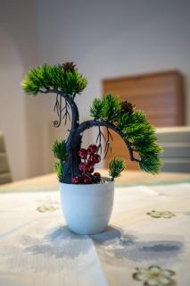 GolfHouseApartment - Bocenago - 7