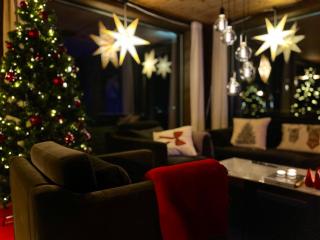 Christmas-decorated mountain cabin - panoramic view! - 9