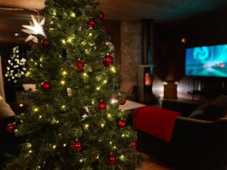 Christmas-decorated mountain cabin - panoramic view! - 8