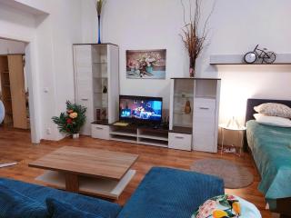 ČSA 2 Central City Apartment Hradec Králové - 7