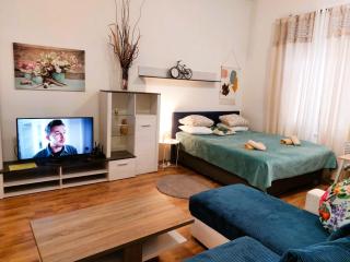 ČSA 2 Central City Apartment Hradec Králové - 5