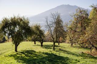 Gfohlerhof Brixen - Urlaub auf dem Bauernhof - Brixen - 1