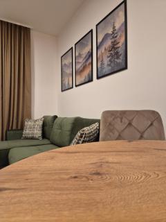 Jahorina IcePeak Apartment 301 - 4