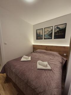 Jahorina IcePeak Apartment 301 - 1