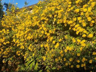 Doichang Riverhouse - 7