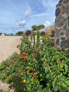 LIViT Condo Elafonisi - 8