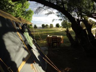Karoo Gariep Tented Camp - Hanover Road - 6