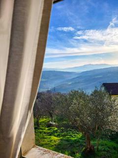 Bonito Bed and Breakfast - 4