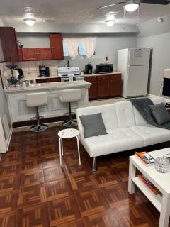 Cozy & Spacious Private Basement - 7