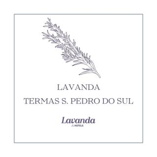 Lavanda Termas de São Pedro do Sul - 0