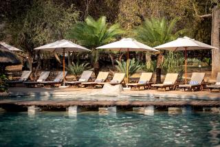 Karongwe- Shiduli Safari Lodge - 8